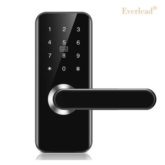 2023 Economic Fingerprint Password RFID Card Key Unlock Tuya APP Remote Control Smart Fingerprint Door Lock